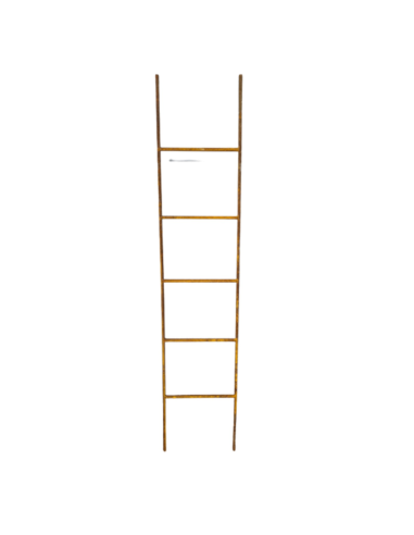 Antieke IJzeren Ladder